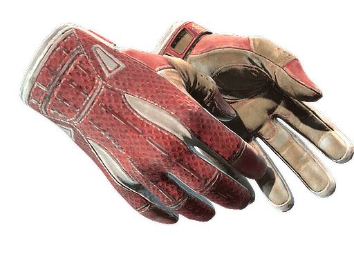 ★ Sport Gloves | Slingshot (Well-Worn)