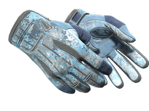 ★ Sport Gloves | Frosty (Minimal Wear)