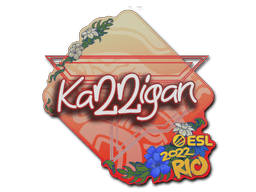 Sticker | karrigan | Rio 2022