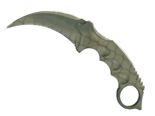 ★ StatTrak™ Karambit | Safari Mesh (Factory New)