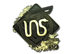 INS (Gold)