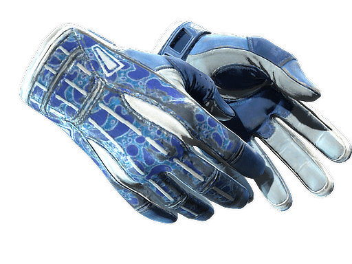 ★ Sport Gloves | Amphibious (Field-Tested)