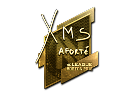 Sticker | xms (Gold) | Boston 2018