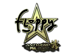 floppy (Gold)