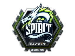 Team Spirit (Foil)
