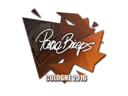 pashaBiceps