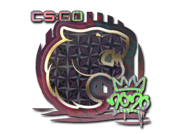 Sticker | FURIA (Holo) | 2020 RMR