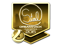 Sticker | steel (Gold) | Cluj-Napoca 2015