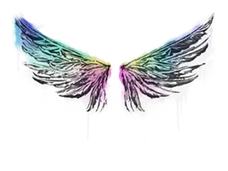 Wings