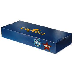 ESL One Cologne 2014 Cache Souvenir Package
