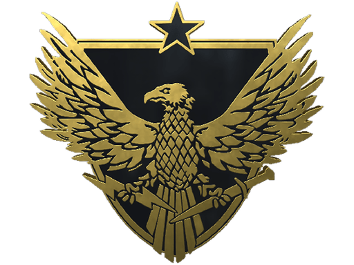Brigadier General Pin