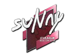 suNny