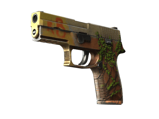 P250 | Inferno (Well-Worn)