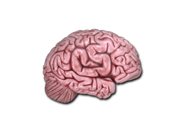 Sticker | CS On The Mind