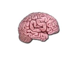 CS On The Mind