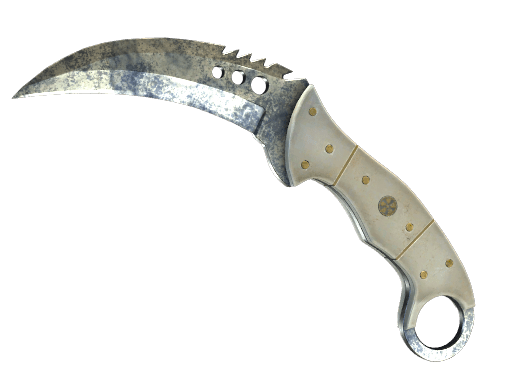 ★ StatTrak™ Talon Knife | Stained (Battle-Scarred)