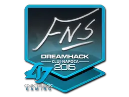 FNS