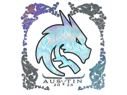 Team Spirit (Holo)
