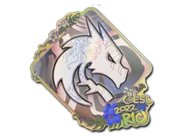 Team Spirit (Holo)