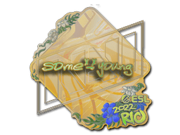 Sticker | sdy (Holo) | Rio 2022
