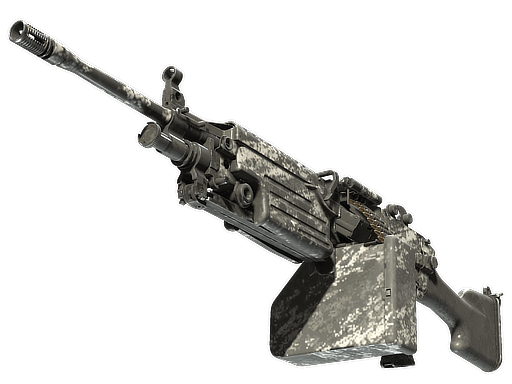 M249 | Sleet (Battle-Scarred)