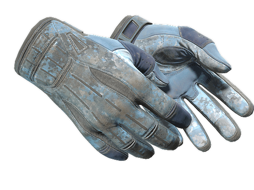 ★ Sport Gloves | Frosty (Battle-Scarred)