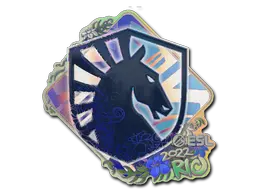 Team Liquid (Holo)