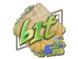b1t (Holo)