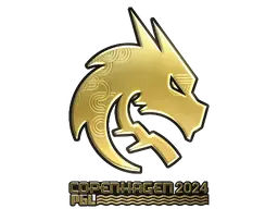 Team Spirit (Gold)