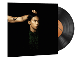 StatTrak™ Music Kit | PVRIS, Evergreen