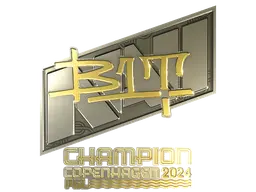 b1t (Gold, Champion)