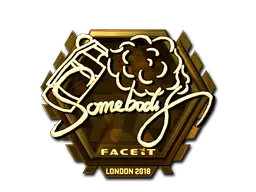 somebody (Gold)