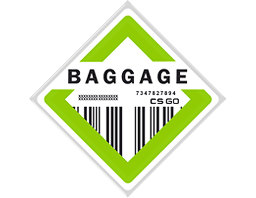 The Baggage Collection