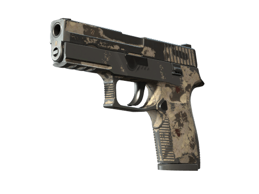 P250 | Black & Tan (Battle-Scarred)