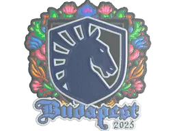 Team Liquid (Embroidered)