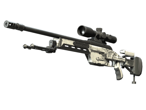 Souvenir SSG 08 | Detour (Well-Worn)