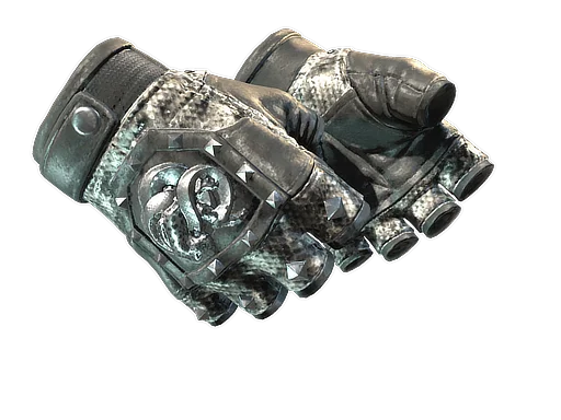 Gloves