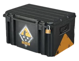 Container