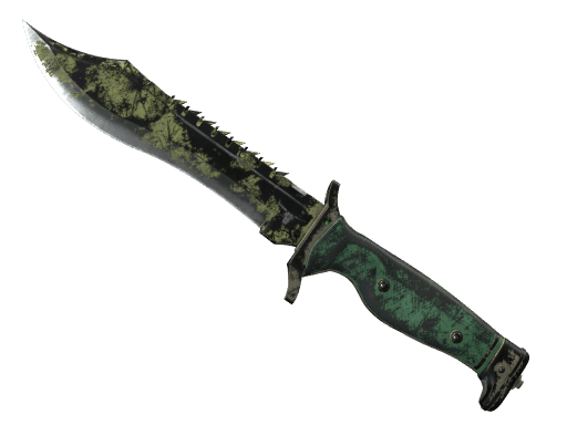 ★ Bowie Knife | Boreal Forest (Battle-Scarred)