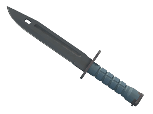 ★ Bayonet | Night (Factory New)