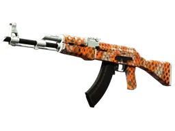 AK-47 | Safety Net (Factory New)