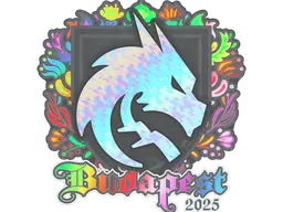 Team Spirit (Holo)