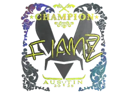 FlameZ (Holo, Champion)