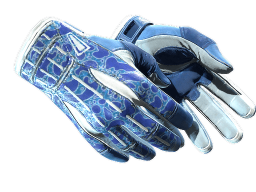 ★ Sport Gloves | Amphibious (Minimal Wear)