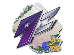 9z Team