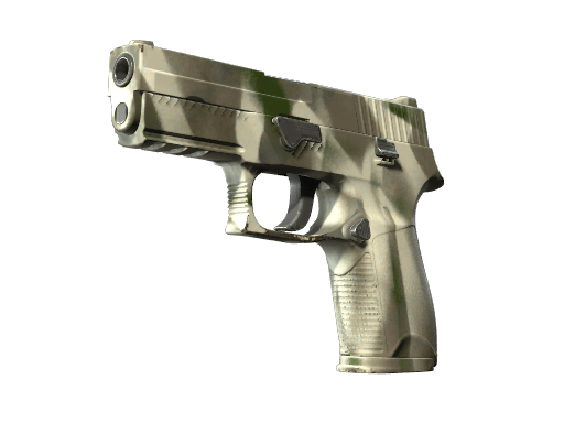 P250 | Bone Mask (Minimal Wear)