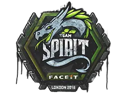 Team Spirit