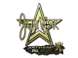 junior (Gold)