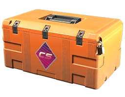 Case