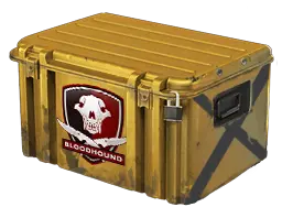 Container